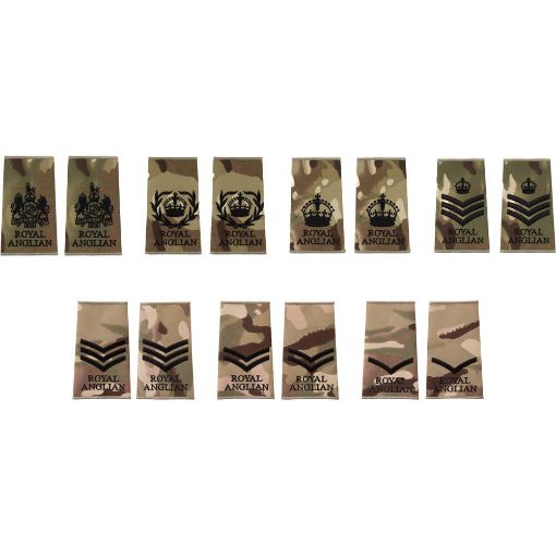 Picture of Royal Anglian Rank Slide - MTP - Or's & NCO's