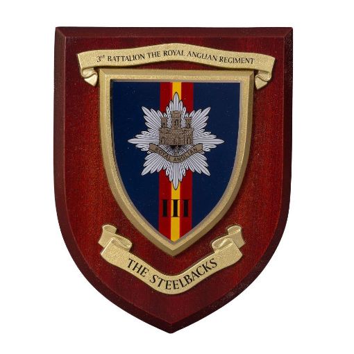 Picture of Plaque - 3rd Bn The Royal Anglian Regiment - Silk Screened
